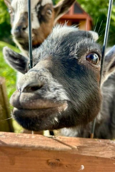 WhatsApp Image 2026-01-19 at 14.39.00 (4)