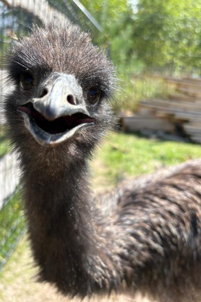 WhatsApp Image 2026-01-19 at 14.39.00 (7)